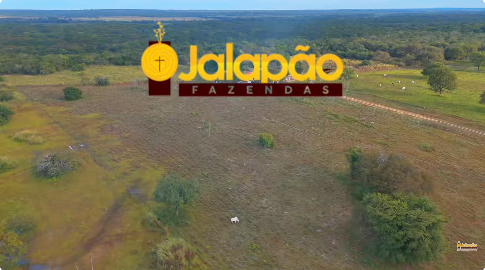 Captura de Tela 2025-09-15 às 21.25.18