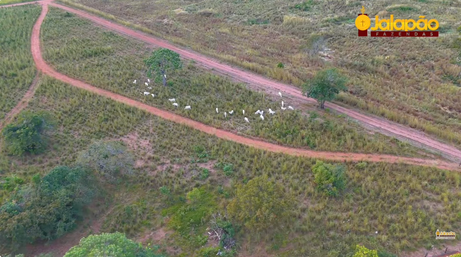 Captura de Tela 2025-09-15 às 21.27.27