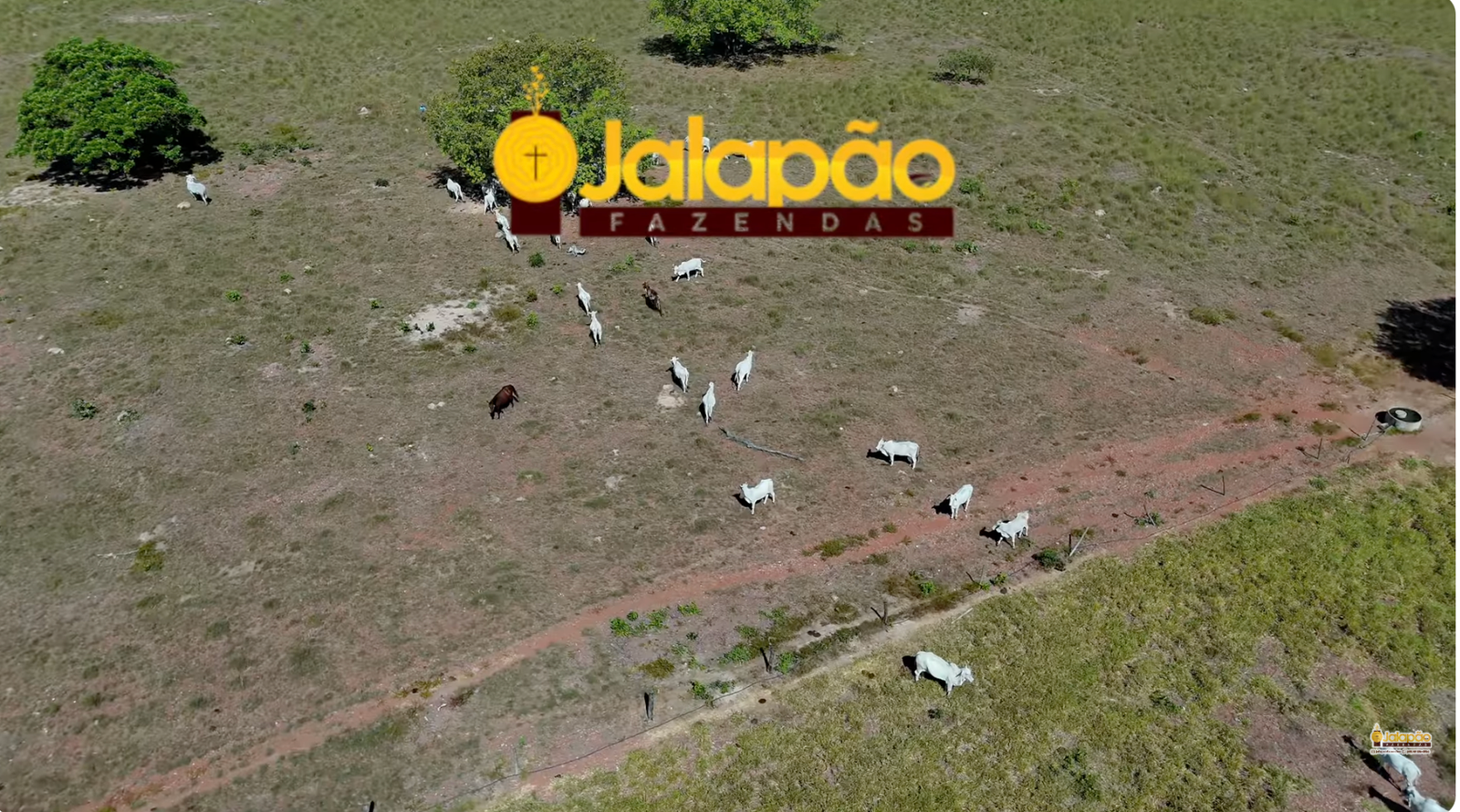 Captura de Tela 2025-09-15 às 21.51.53