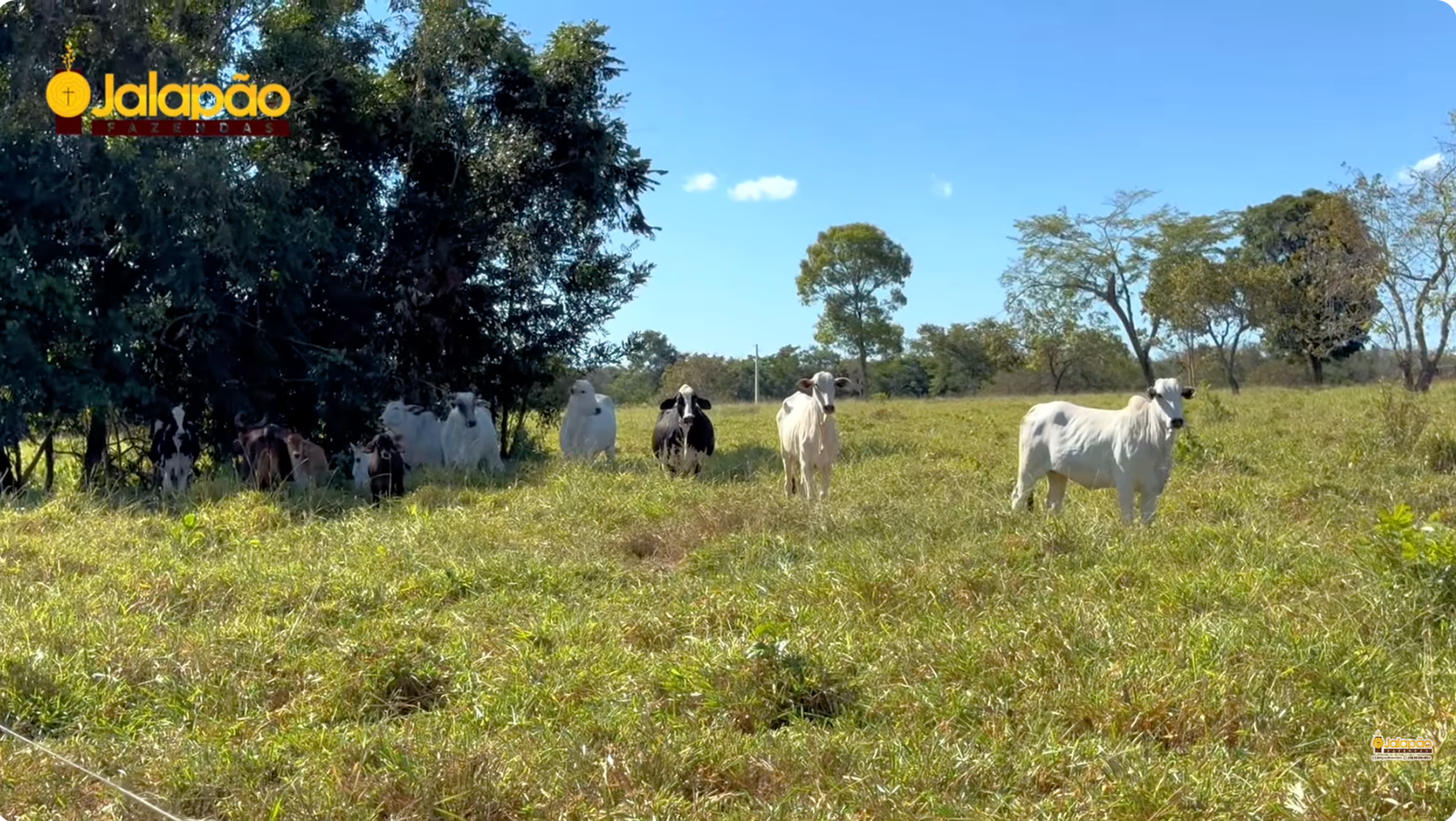 Captura de Tela 2025-09-15 às 21.54.07