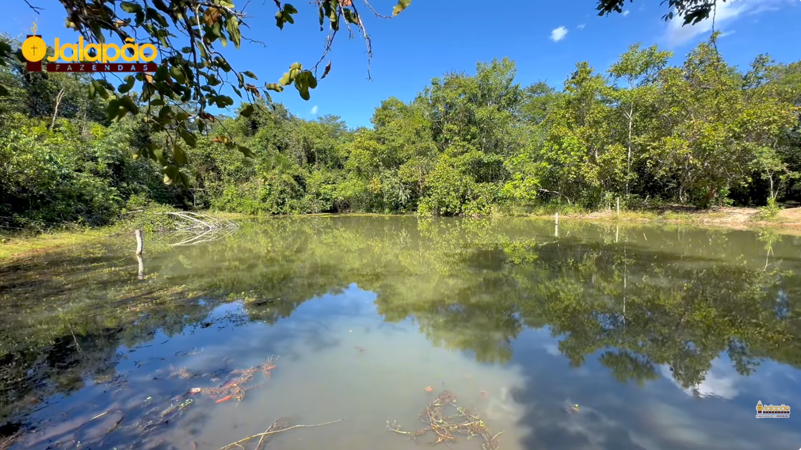 Captura de Tela 2025-09-15 às 21.55.41