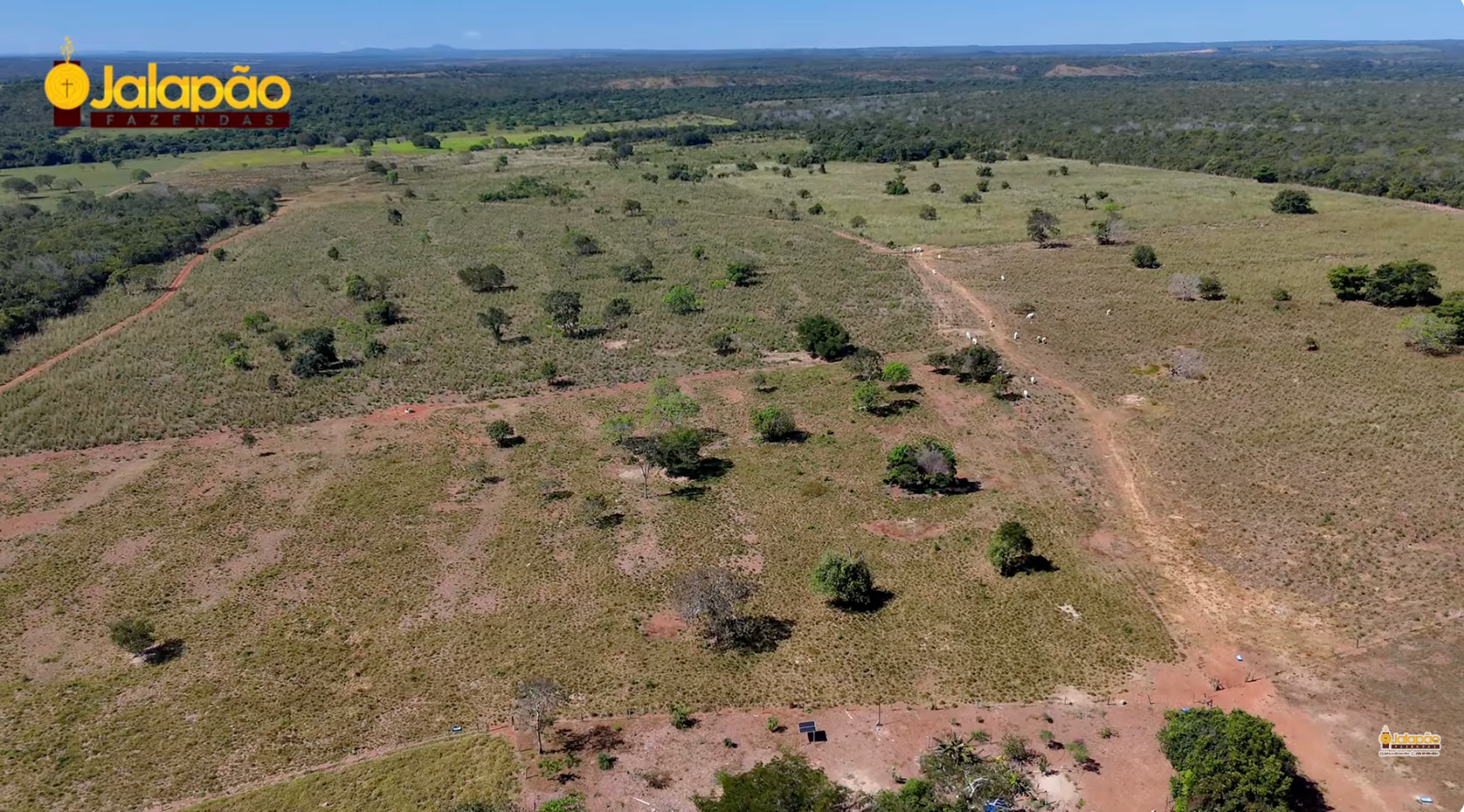 Captura de Tela 2025-09-15 às 21.56.17