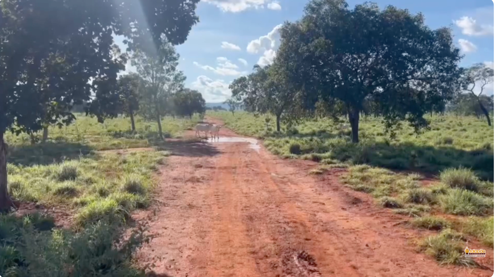 Captura de Tela 2025-09-15 às 22.11.30