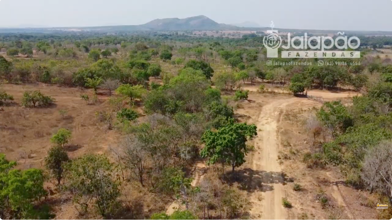 Captura de Tela 2025-09-16 às 08.08.29