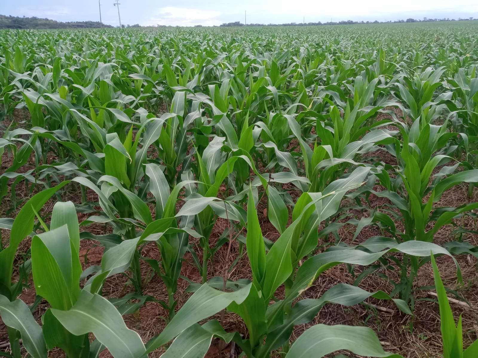 WhatsApp Image 2025-09-06 at 20.42.13 (2)