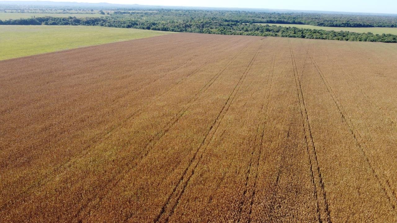 WhatsApp Image 2025-09-15 at 10.37.18