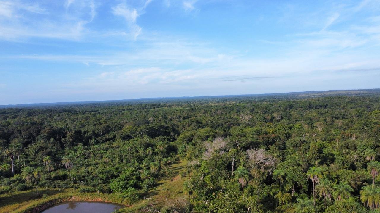 WhatsApp Image 2025-09-15 at 10.40.53 (11)