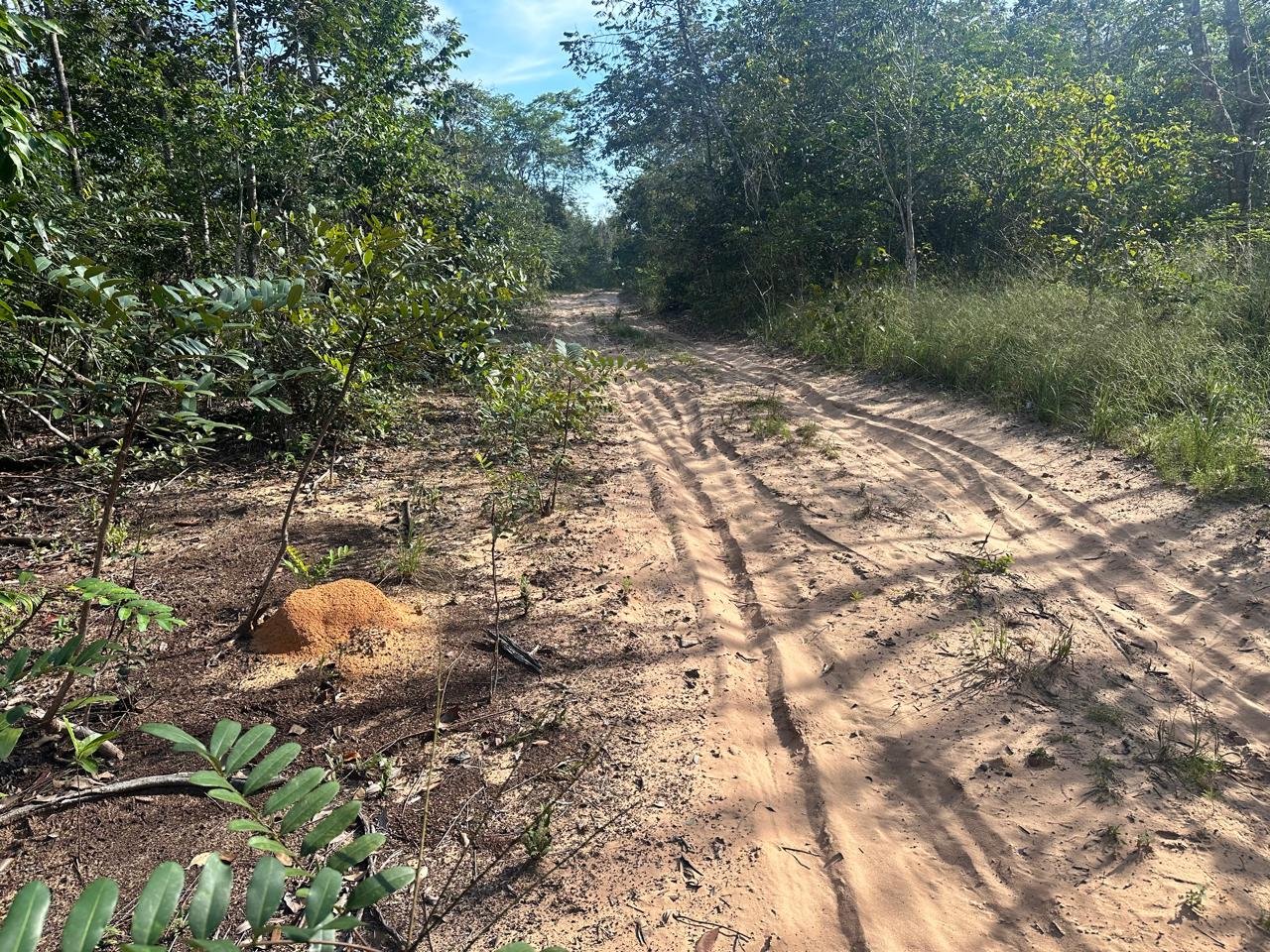 WhatsApp Image 2025-09-15 at 10.40.53 (14)