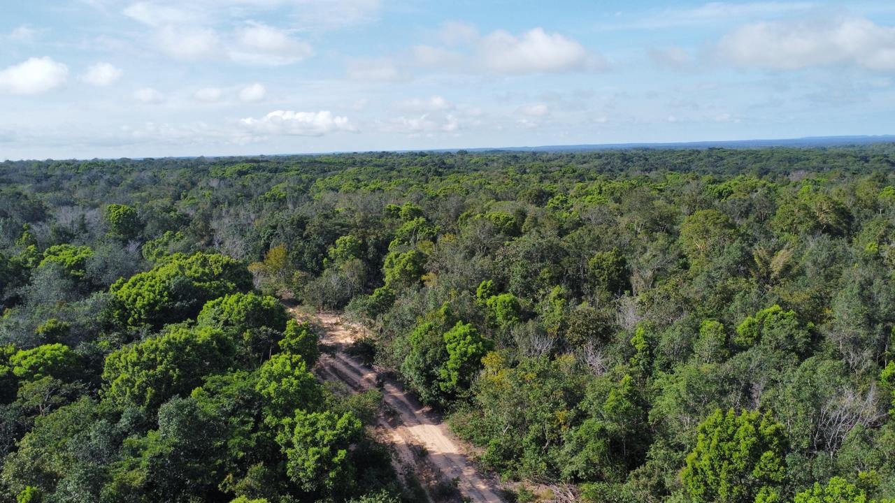 WhatsApp Image 2025-09-15 at 10.40.53 (16)