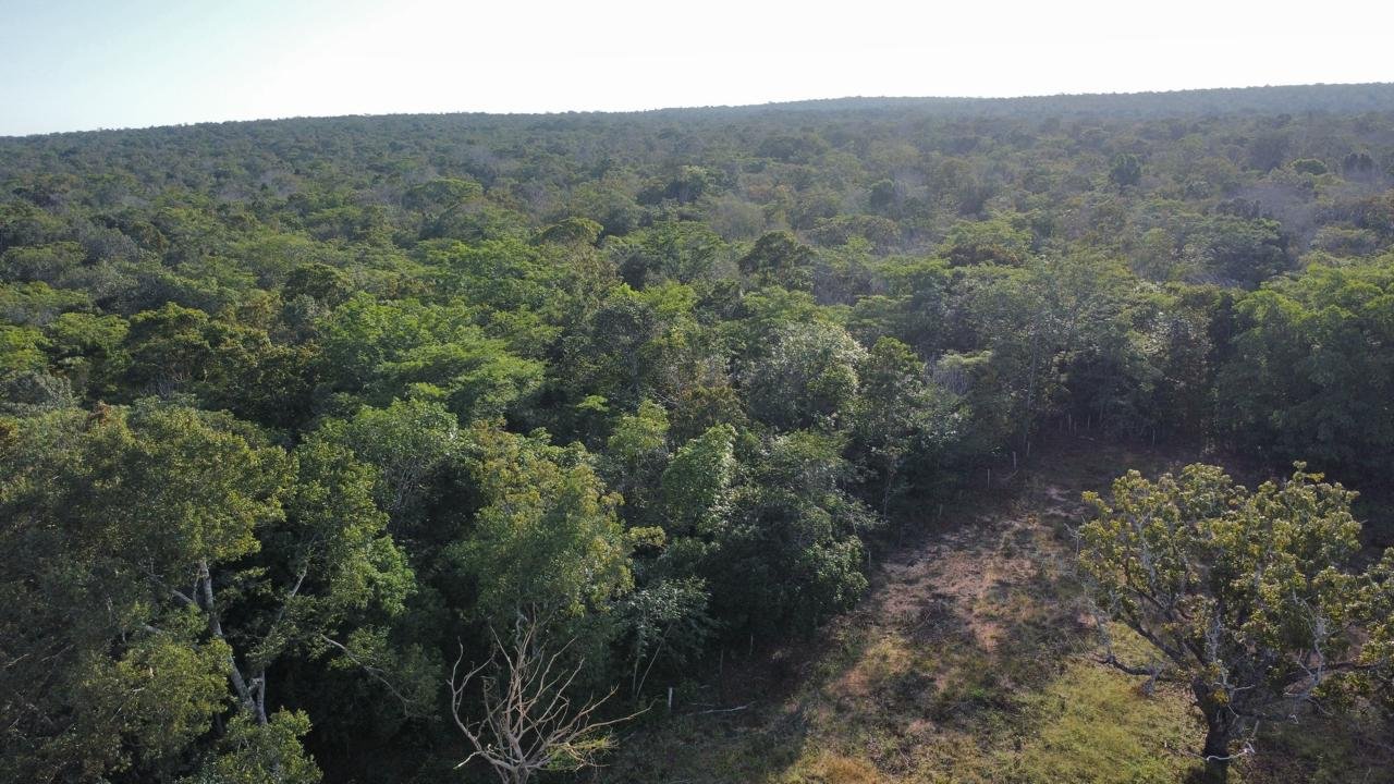 WhatsApp Image 2025-09-15 at 10.40.53 (2)