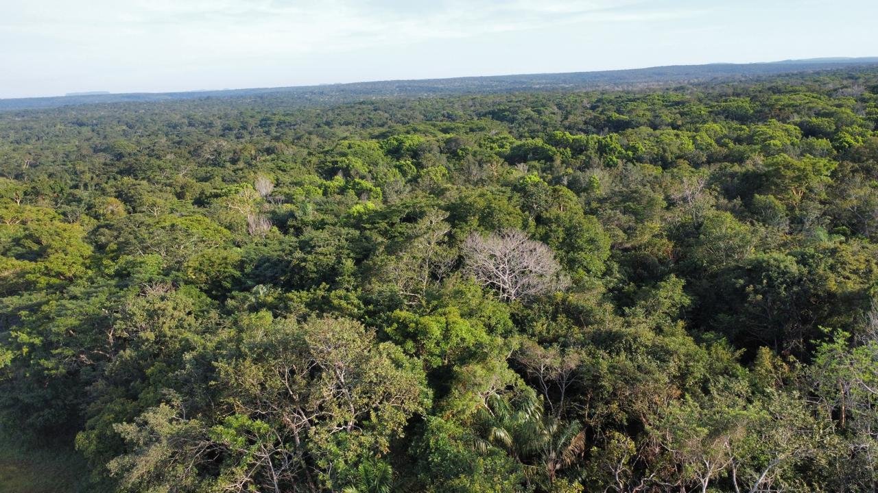 WhatsApp Image 2025-09-15 at 10.40.53