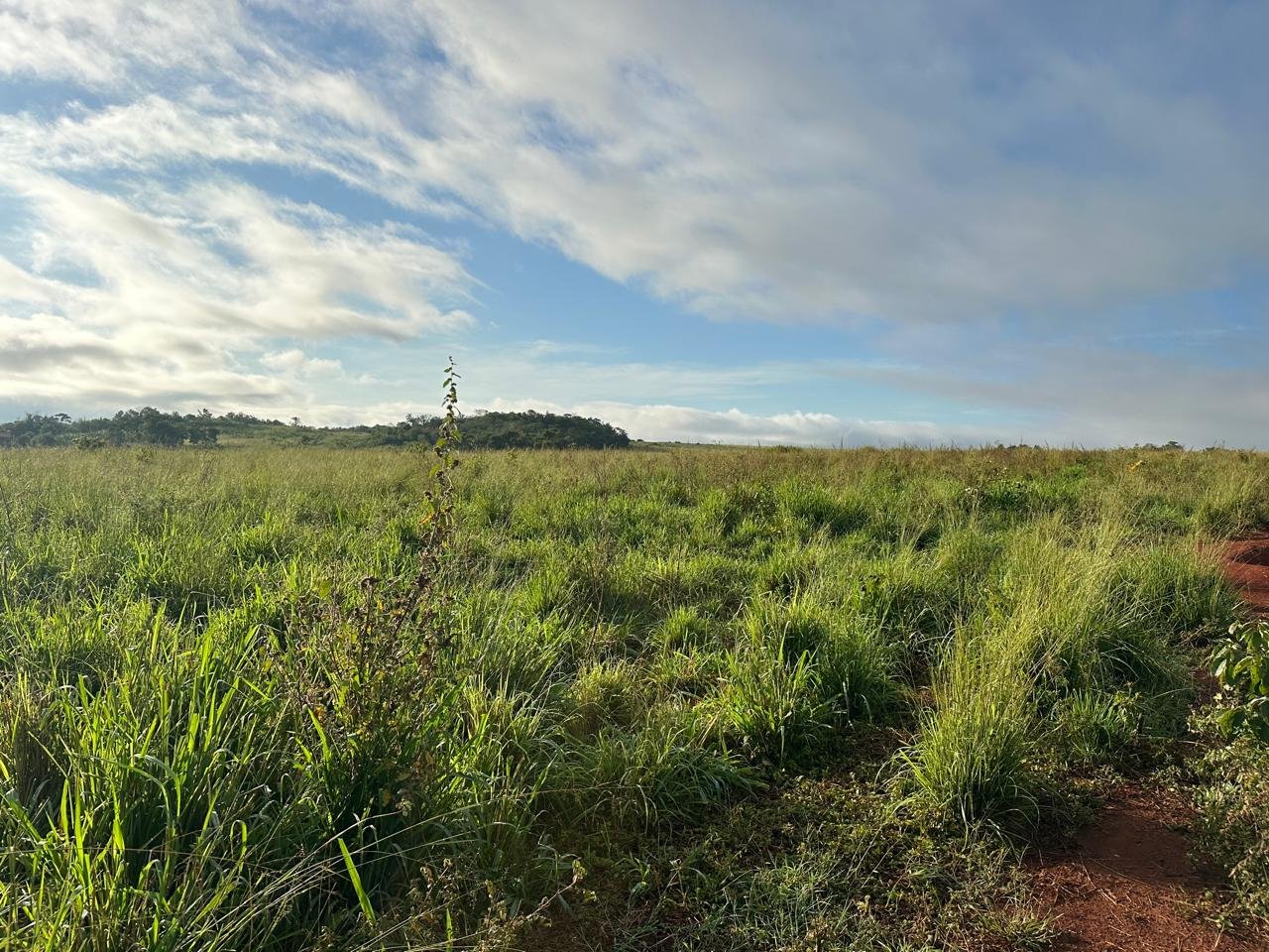 WhatsApp Image 2025-09-15 at 10.44.18 (1)