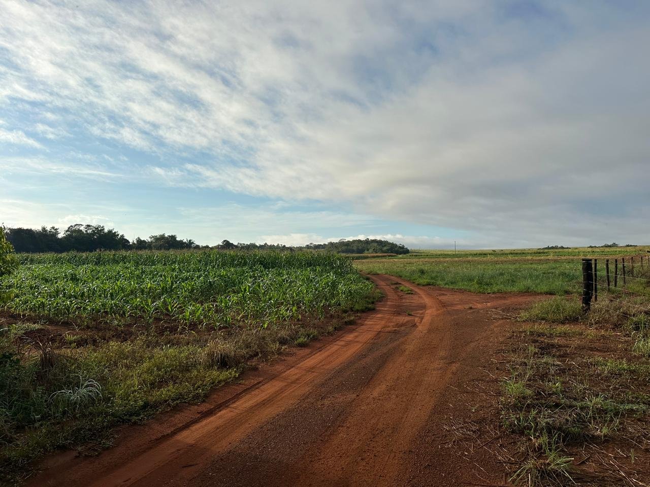 WhatsApp Image 2025-09-15 at 10.44.18