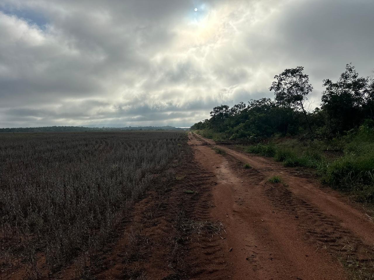 WhatsApp Image 2025-09-15 at 10.44.20 (10)