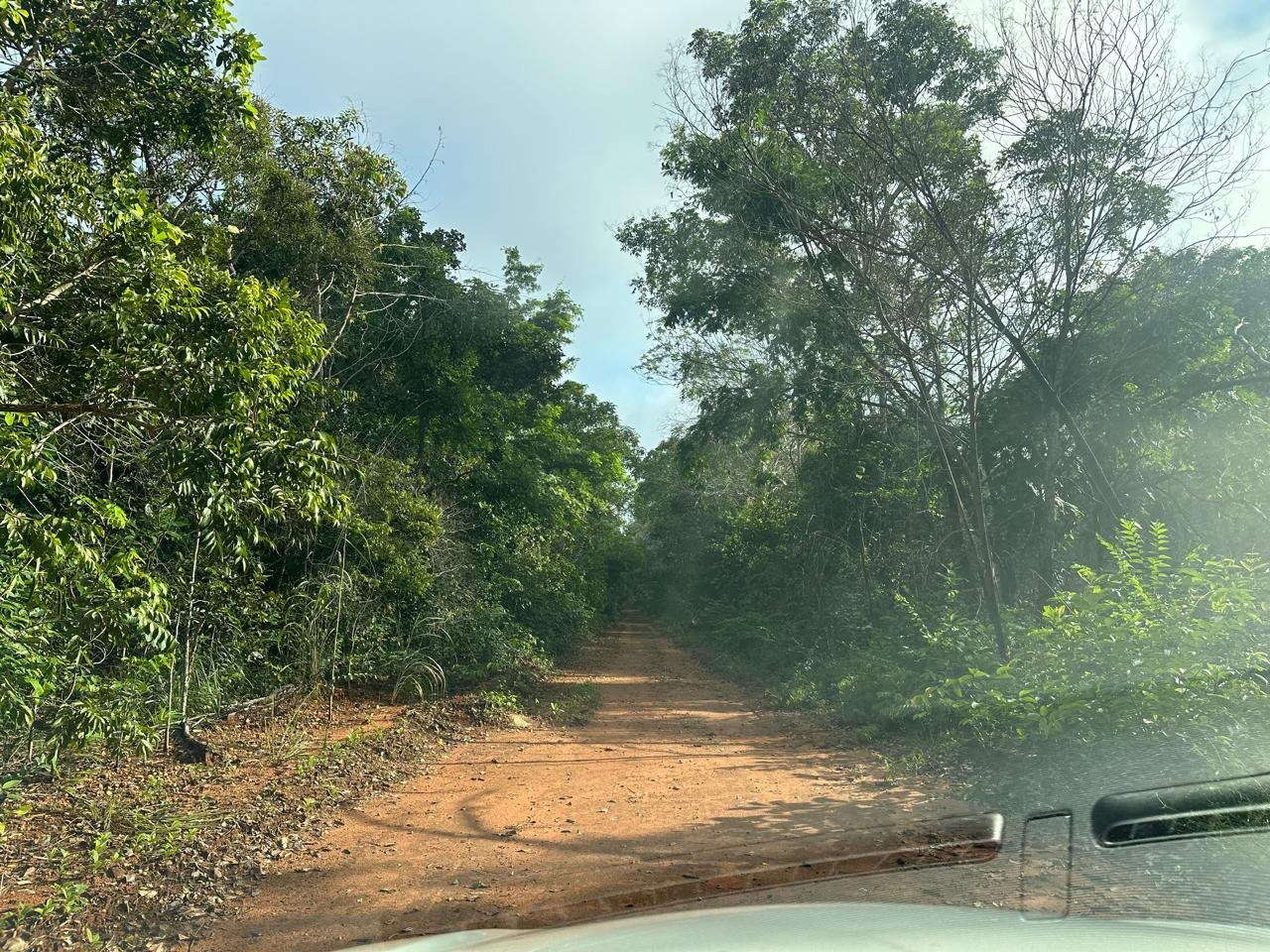 WhatsApp Image 2025-09-15 at 10.44.20 (14)