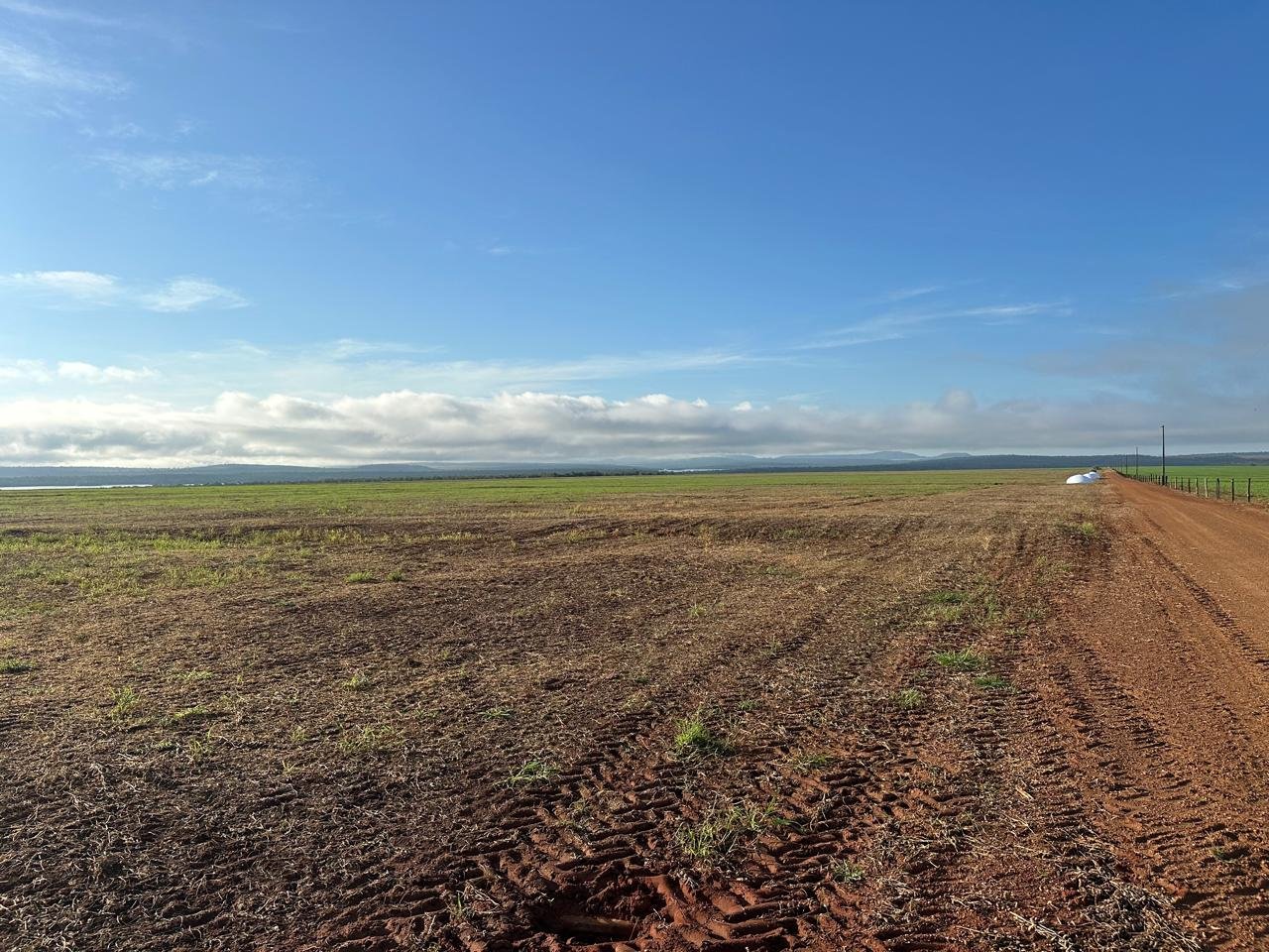 WhatsApp Image 2025-09-15 at 10.44.20 (5)