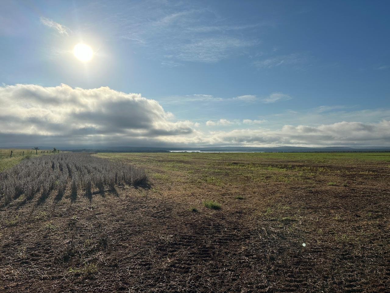 WhatsApp Image 2025-09-15 at 10.44.20 (6)