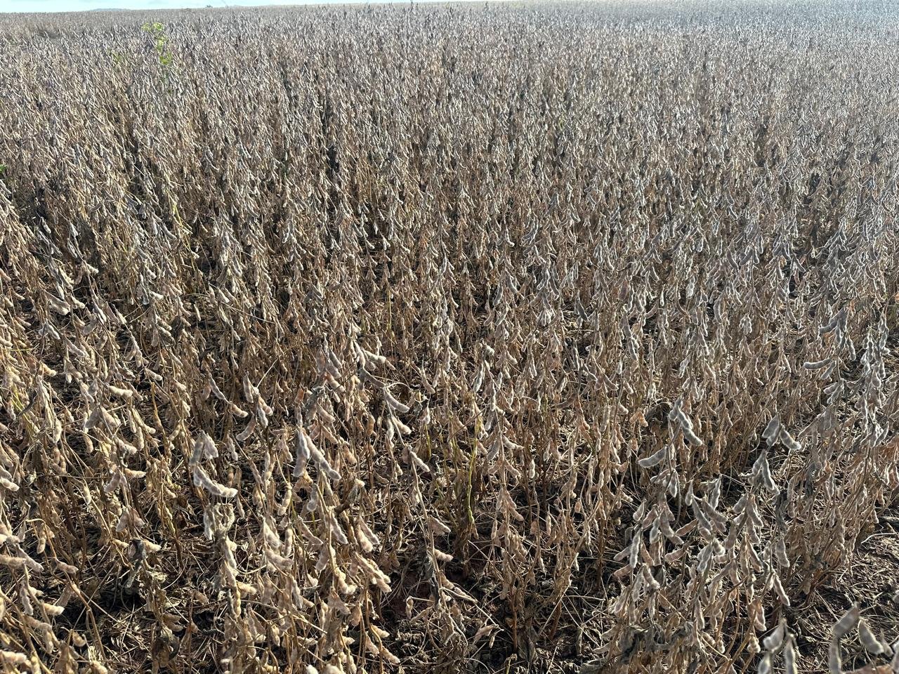 WhatsApp Image 2025-09-15 at 10.44.20 (7)