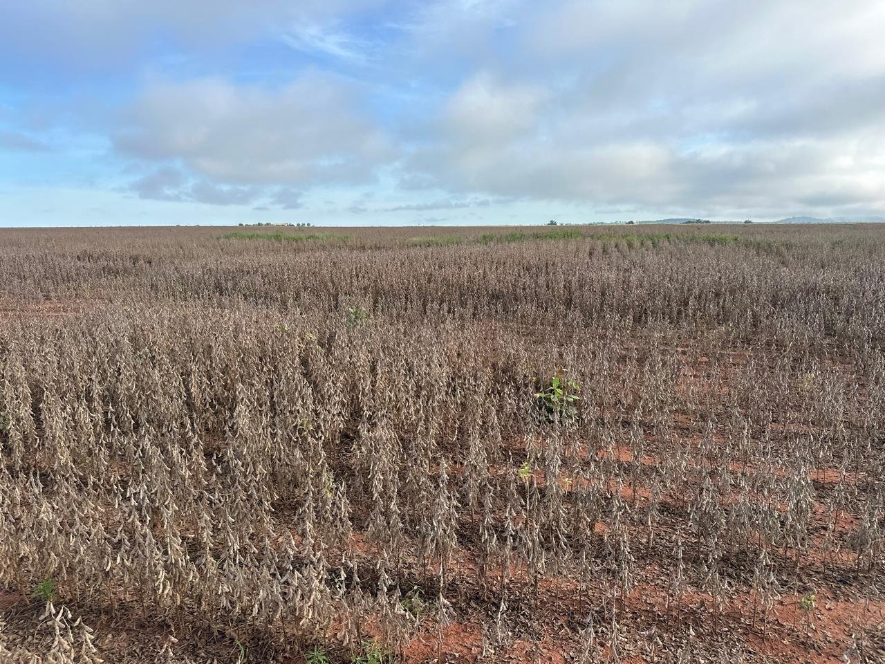 WhatsApp Image 2025-09-15 at 10.44.20 (9)