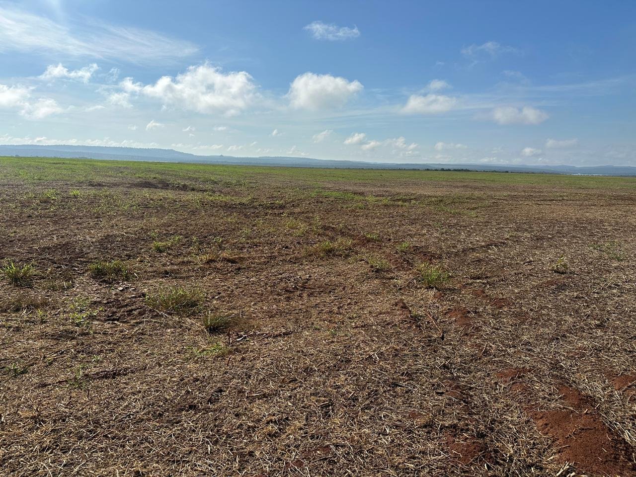 WhatsApp Image 2025-09-15 at 10.44.21 (1)