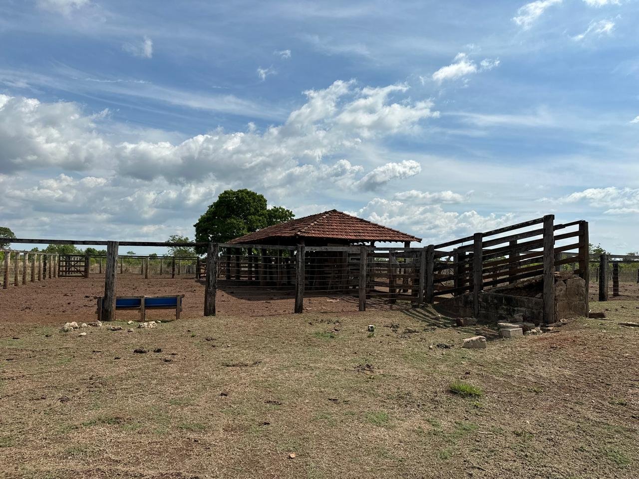 WhatsApp Image 2025-09-15 at 10.51.18 (1)