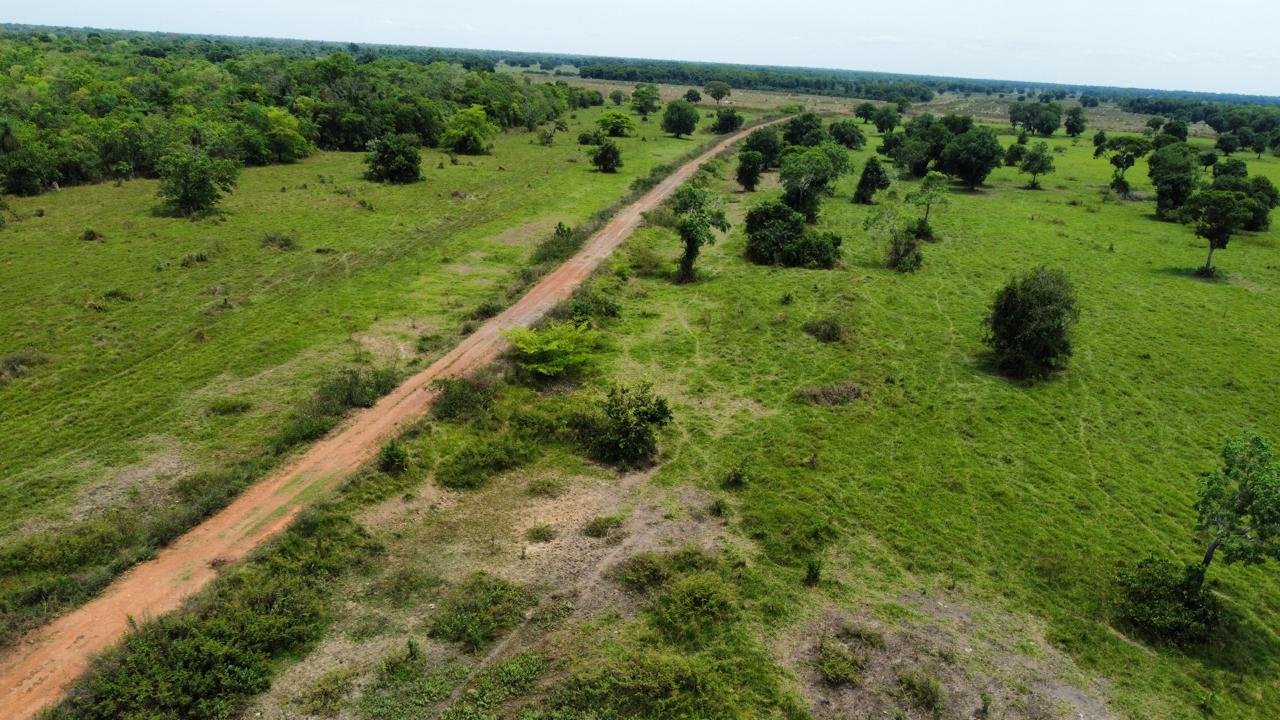 WhatsApp Image 2025-09-15 at 10.51.18