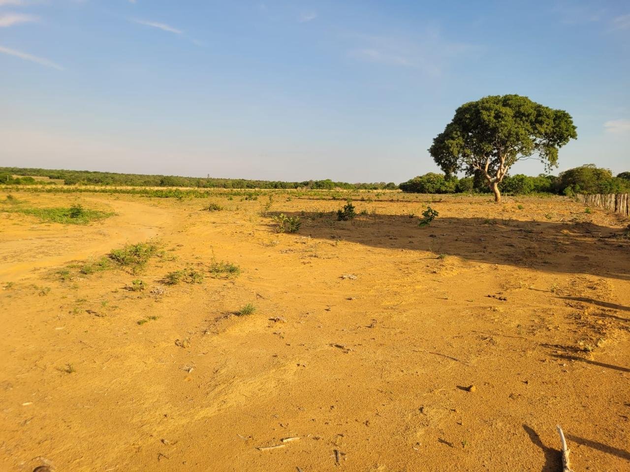 Fazenda à venda no Tocantins com 17.520 hectares, solo fértil, pecuária e potencial para grãos