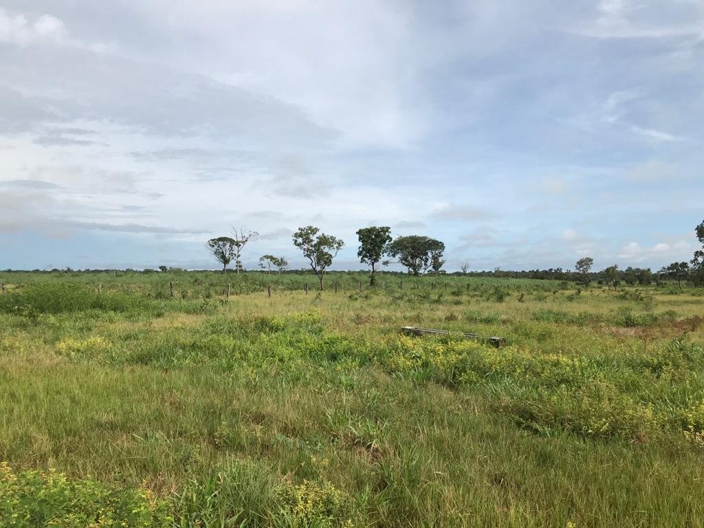 WhatsApp Image 2025-09-15 at 10.51.26 (2)