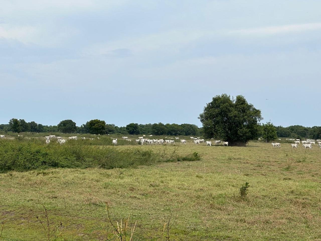 WhatsApp Image 2025-09-15 at 10.51.26