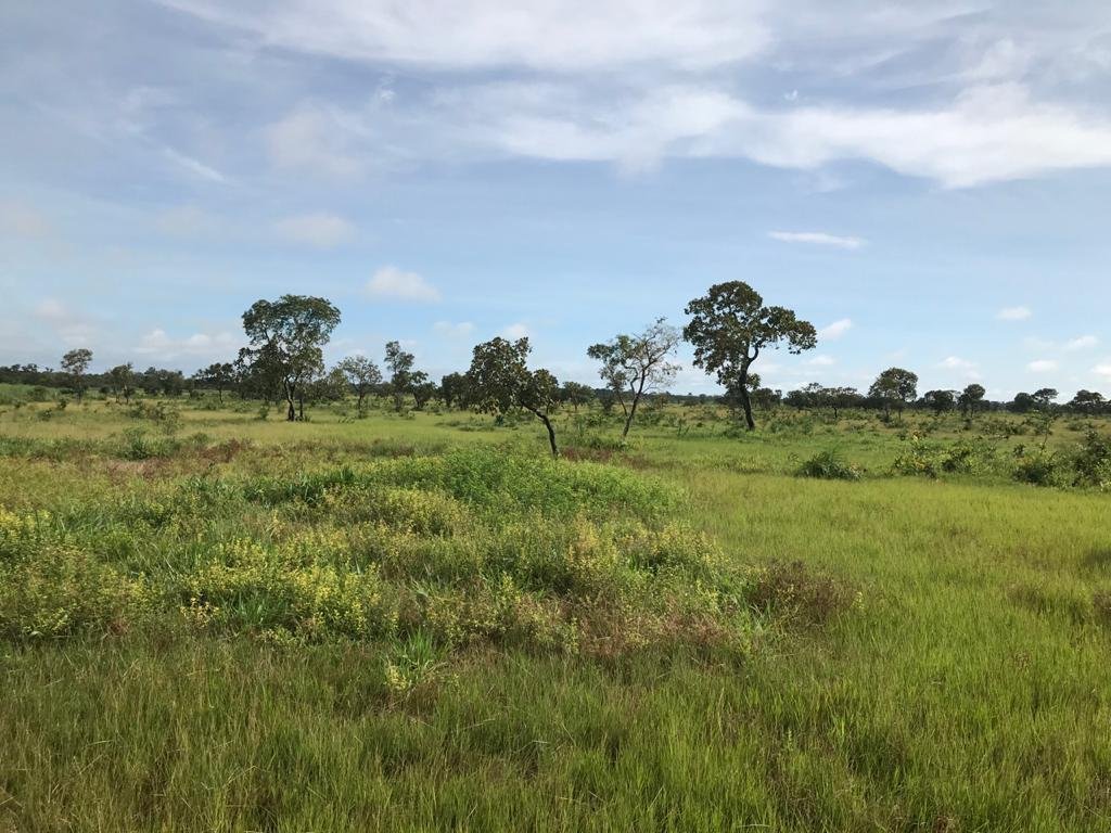 WhatsApp Image 2025-09-15 at 10.51.27 (2)