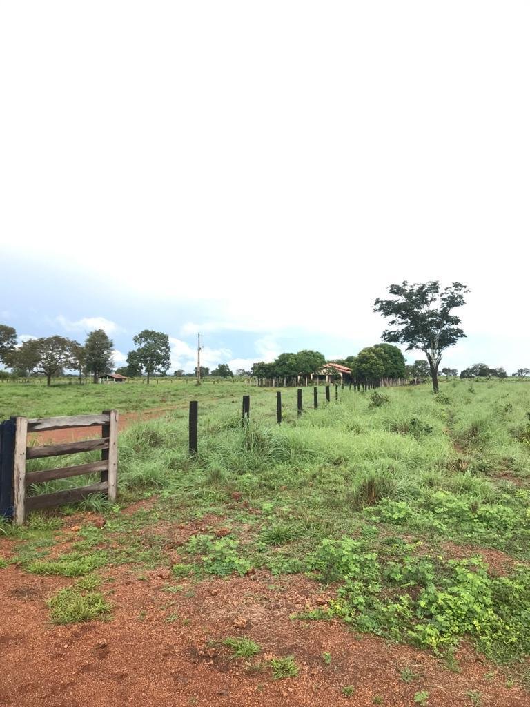 WhatsApp Image 2025-09-15 at 10.51.28