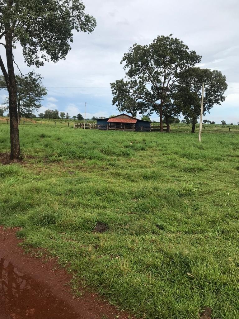 WhatsApp Image 2025-09-15 at 10.51.29