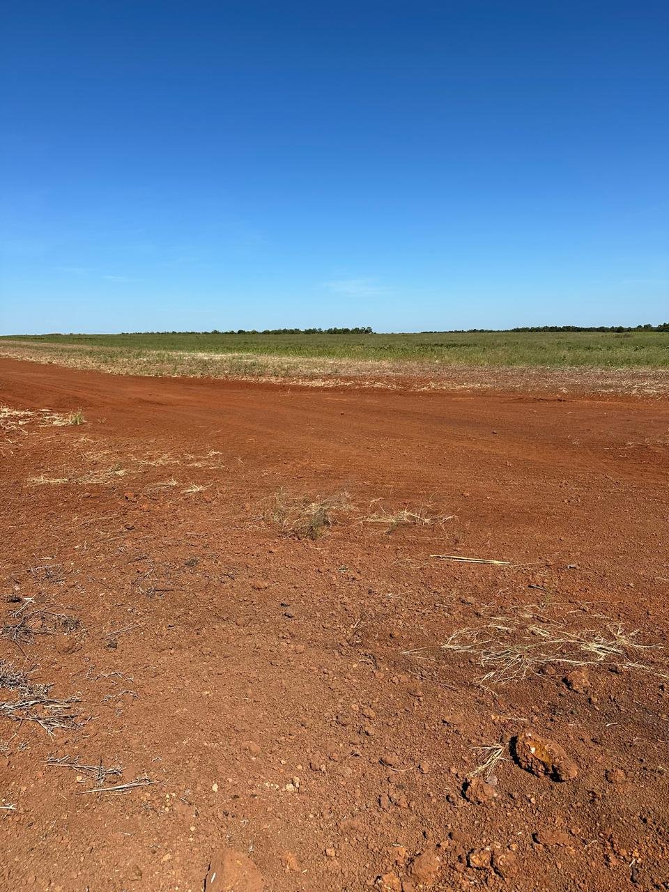 WhatsApp Image 2025-09-15 at 10.55.02 (1)