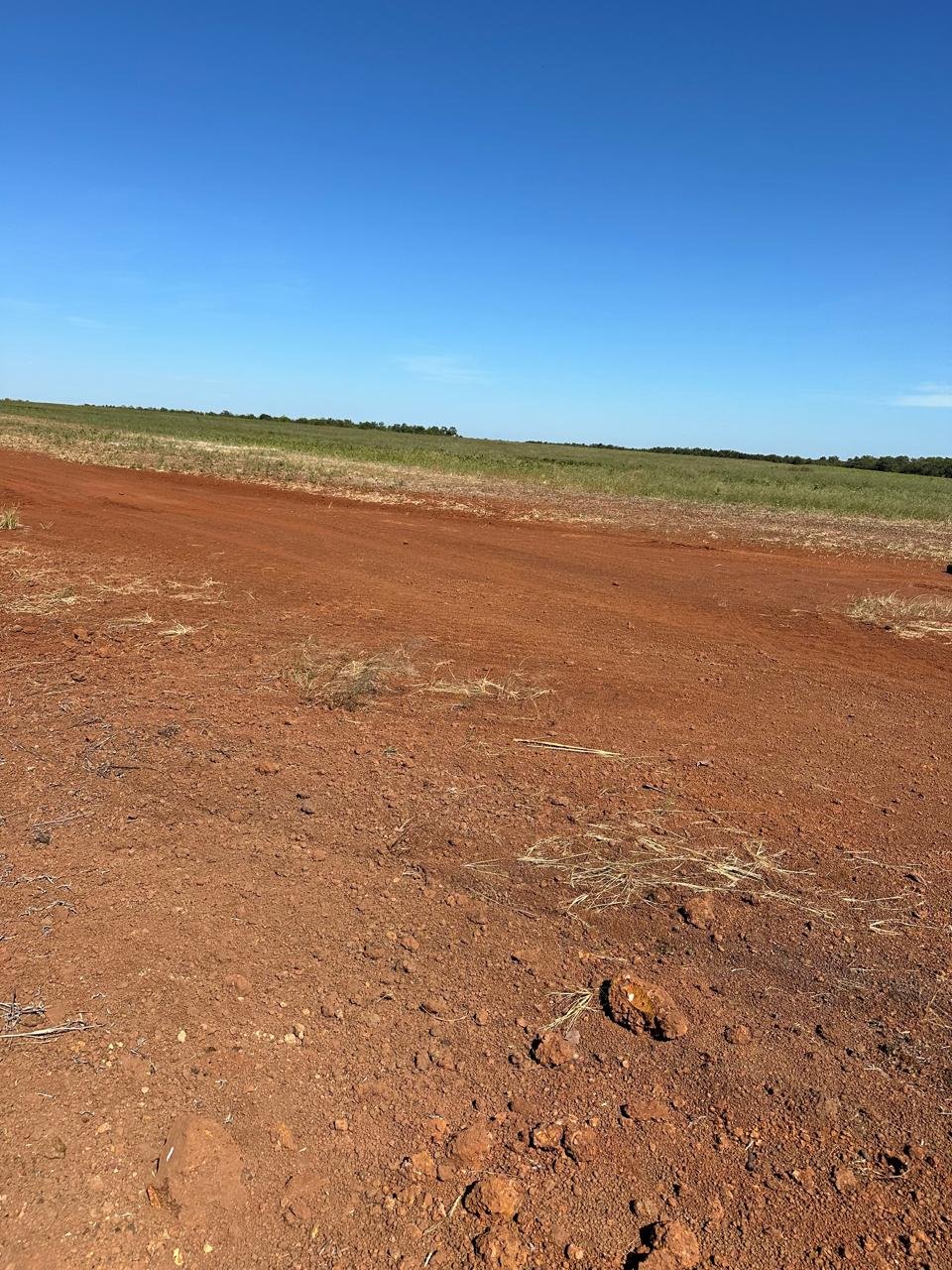 WhatsApp Image 2025-09-15 at 10.55.02