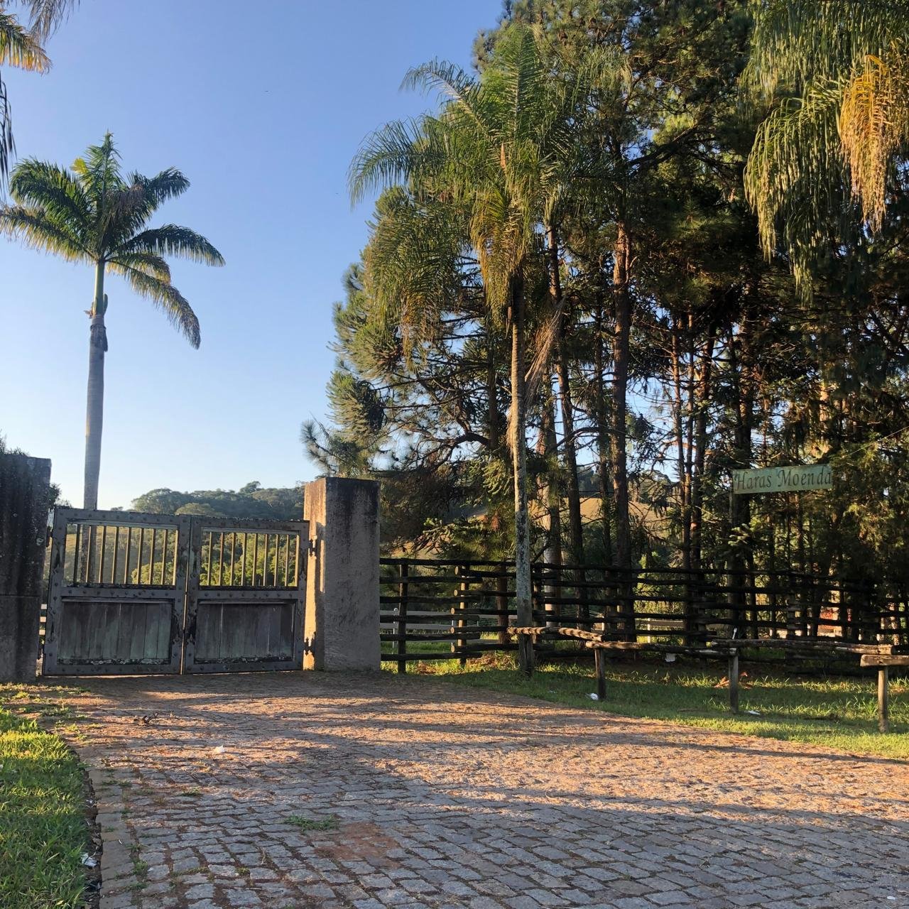 WhatsApp Image 2025-09-23 at 21.59.23 (2)