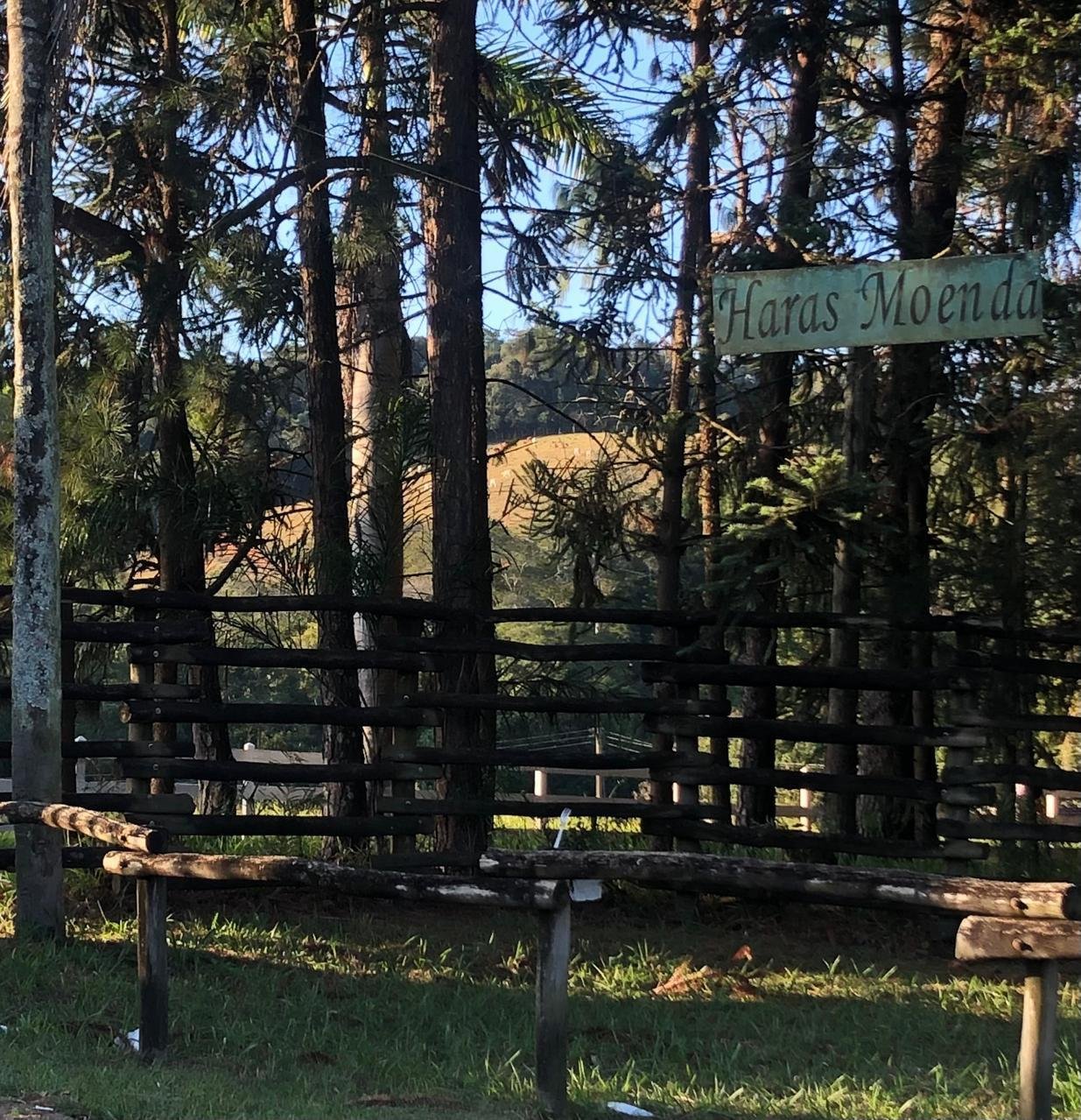 WhatsApp Image 2025-09-23 at 21.59.23