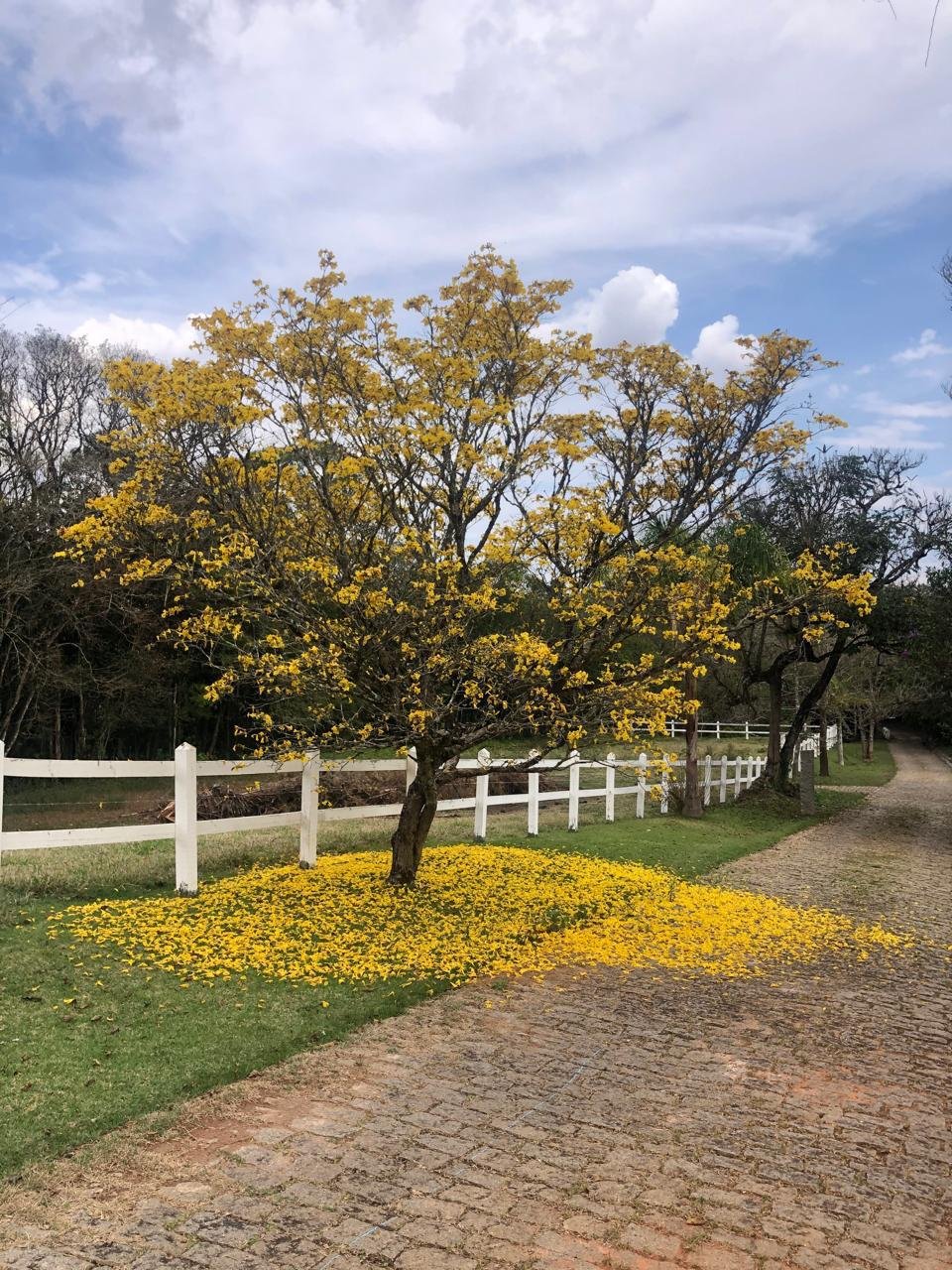 WhatsApp Image 2025-09-23 at 21.59.31 (4)