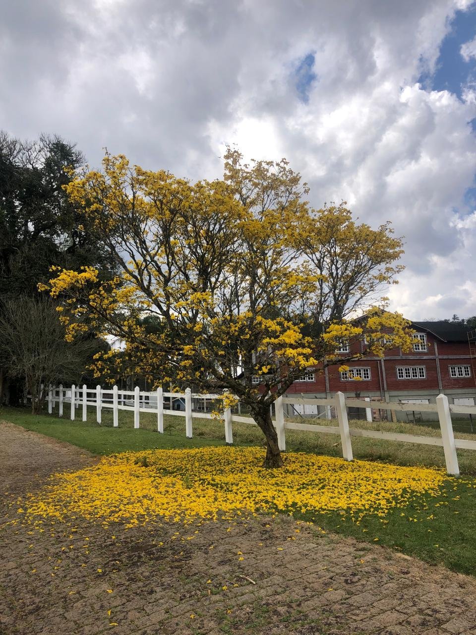 WhatsApp Image 2025-09-23 at 21.59.32