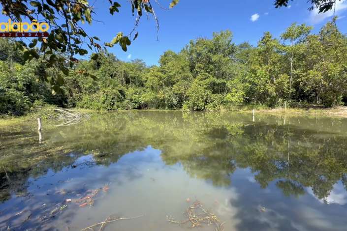 Captura de Tela 2025-09-15 às 21.55.41