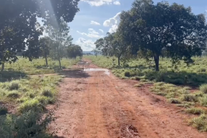 Captura de Tela 2025-09-15 às 22.11.30