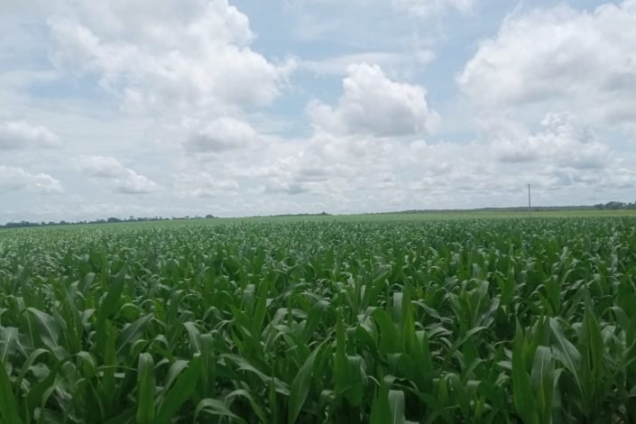 WhatsApp Image 2025-09-06 at 20.42.14