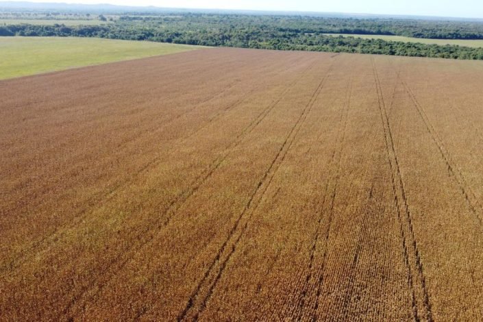 WhatsApp Image 2025-09-15 at 10.37.18