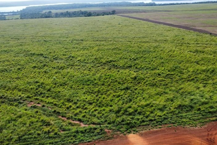 Fazenda à venda no Tocantins com 265 hectares, solo argiloso, 200 ha plantio e recursos hídricos