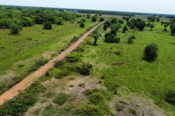 WhatsApp Image 2025-09-15 at 10.51.18