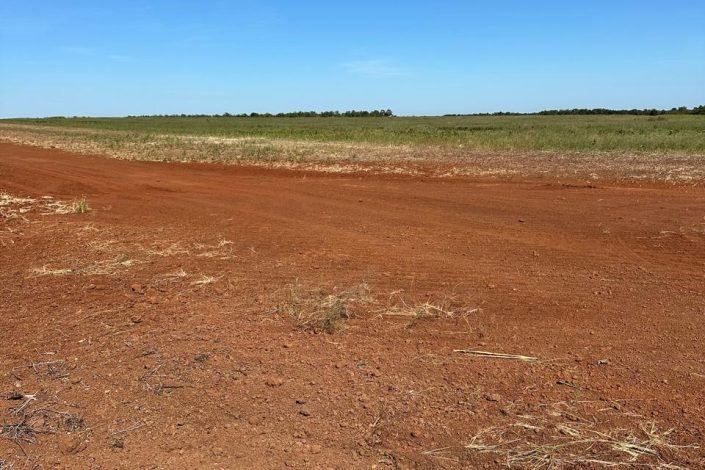 WhatsApp Image 2025-09-15 at 10.55.02 (1)